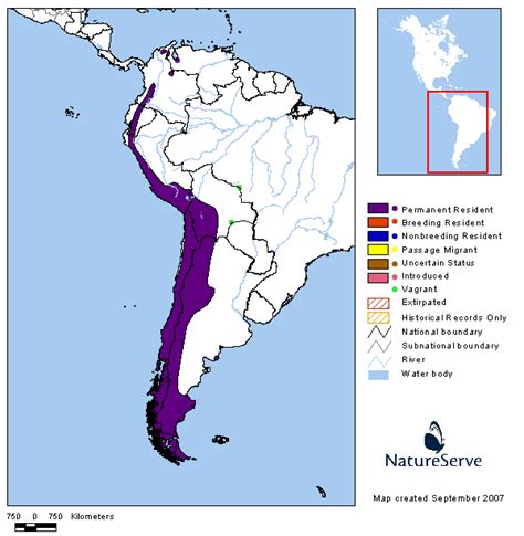 Las 7 Aves Nacionales más bellas de Hispanoamérica