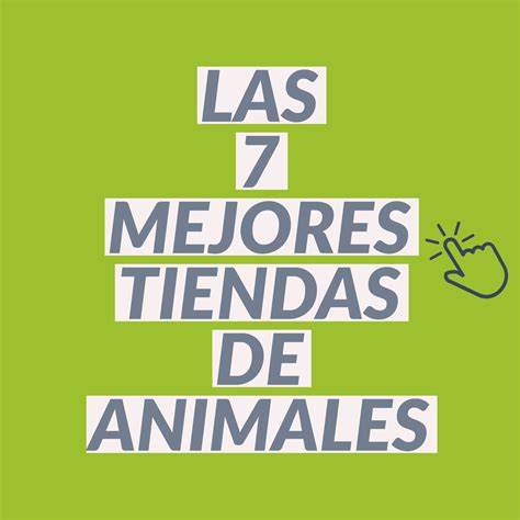 Las 7 Mejores Tiendas de Animales Online en España 2021   2022