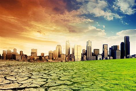 Las 8 principales consecuencias del cambio climático ...