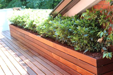 Las 9 mejores plantas para terrazas – La Habitación Verde