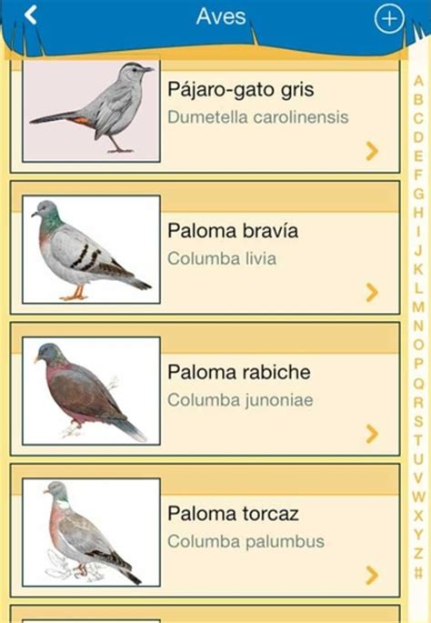 Las Aves de España para iPhone   Descargar