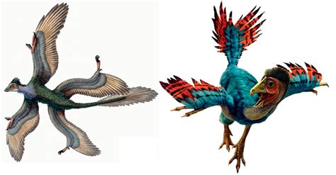 Las aves evolucionaron de los dinosaurios   www.dinosaurios.wiki