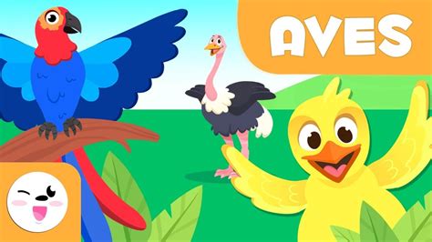 Las Aves para niños   Animales vertebrados   Ciencias ...