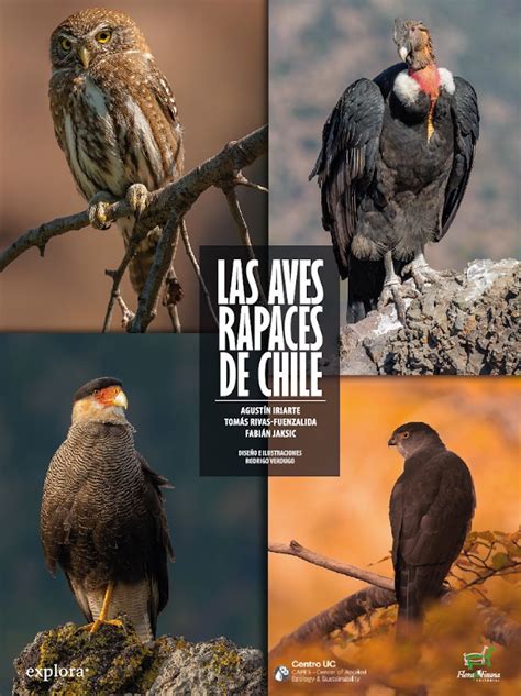 Las aves rapaces de Chile   Librería Chucao