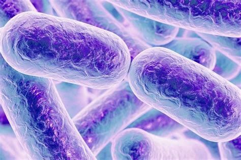 Las bacterias almacenan información como las neuronas | DiarioMedico