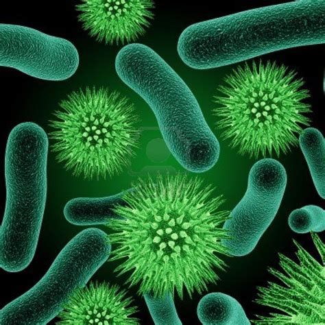 LAS BACTERIAS: Características de las bacterias