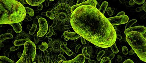 Las bacterias intestinales están relacionadas con el estado de ánimo ...