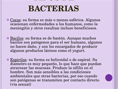 Las bacterias, presentacion