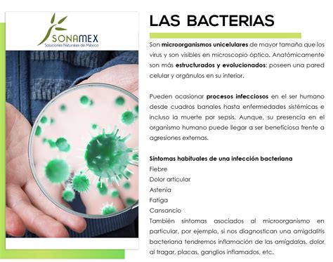 LAS BACTERIAS – Sonamex