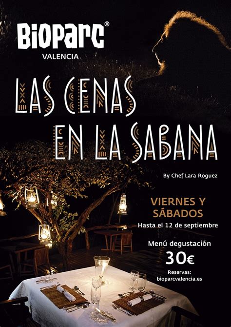 Las cenas en la sabana   noche en BIOPARC Valencia