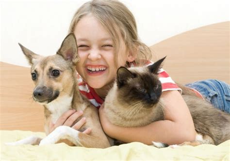 Las cinco mejores mascotas para los niños Etapa Infantil