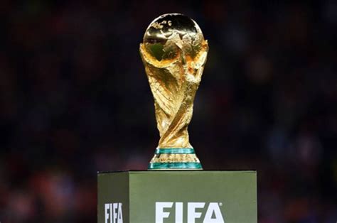 Las eliminatorias para el Mundial de Qatar 2022 fueron postergadas para ...