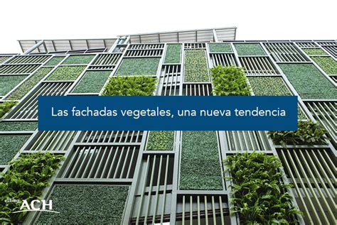 Las fachadas vegetales, una nueva tendencia.