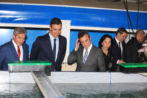 Las fotos de la visita de Pedro Sánchez a Cádiz