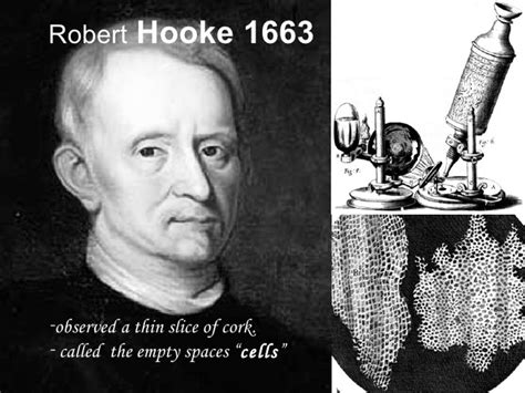 Las fuerzas y su medición. Ley de Hooke timeline ...