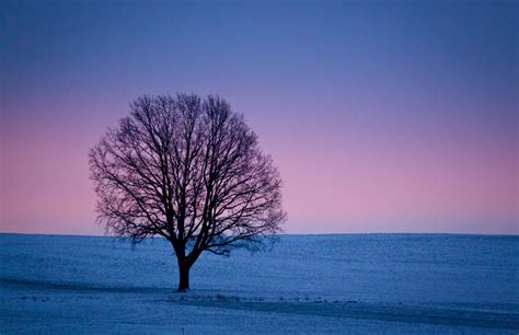 Las imágenes invernales más espectaculares, en fotos a ...