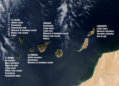 Las islas Canarias, ejemplo mundial de biodiversidad y singularidad ...