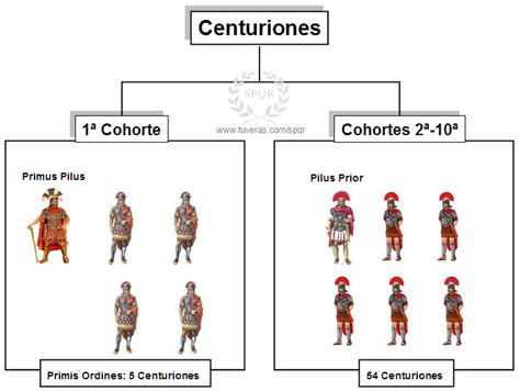 Las Legiones Imperiales   anteojos y antinarices