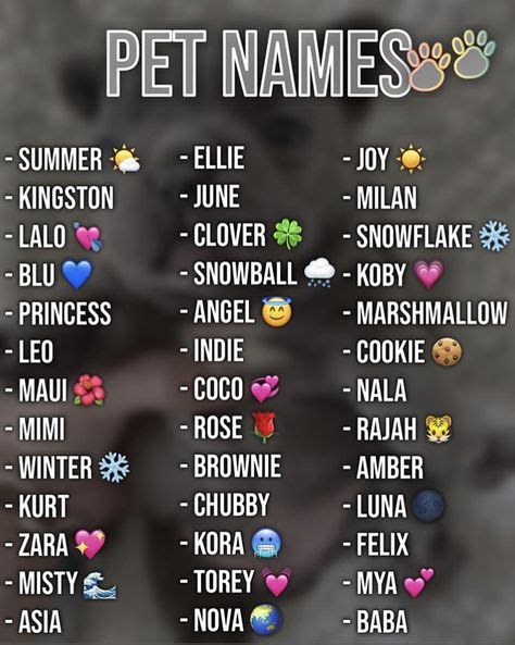 Las mejores 41 ideas de Nombres de perros en 2021 | nombres de perros ...
