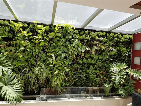 Las mejores 5 plantas para tu jardín vertical – Generación Verde