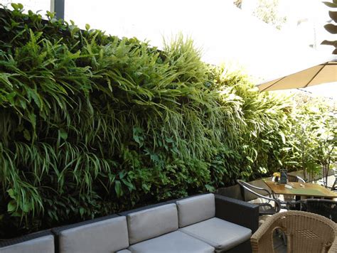 Las mejores 5 plantas para tu jardín vertical – Generación Verde