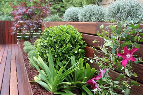 Las mejores plantas para decorar tu terraza | La Habitación Verde