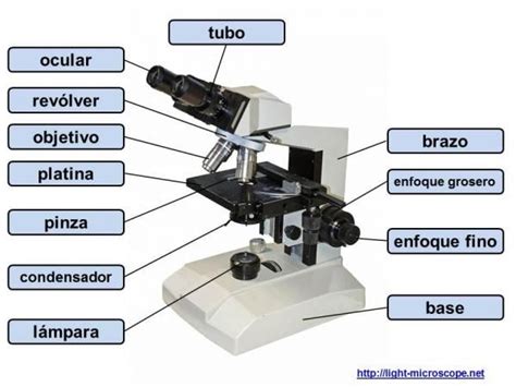 Las partes de un microscopio y su uso | Microscópio óptico ...