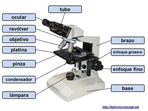 Las partes de un microscopio y su uso