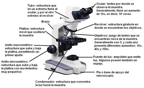 Las partes de un microscopio y su uso
