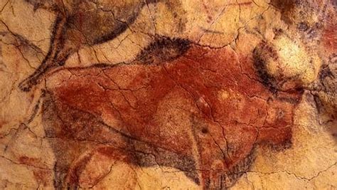 Las pinturas del arte rupestre reflejan con realismo las especies del ...