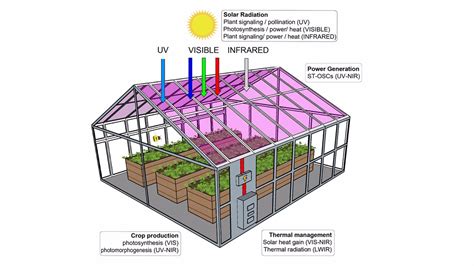 Las plantas crecerían bien en invernaderos de paneles solares