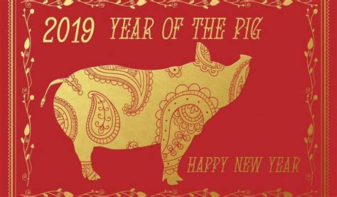 Las predicciones para el año del cerdo 2019, según el ...