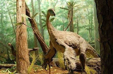 Las primeras plumas de los dinosaurios sólo tenían una función ornamental