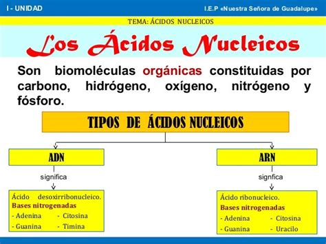 Las proteínas ácidos nucleicos