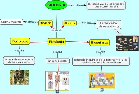 Las ramas de la biologia: Imagen de la Biología y sus ramas