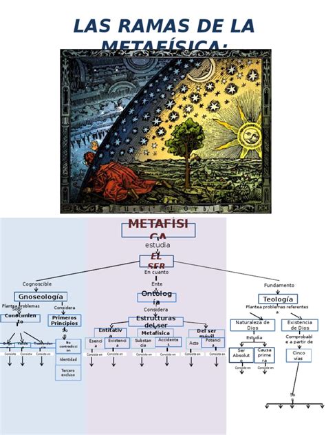 Las Ramas De La Metafísica