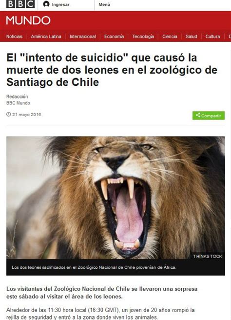 Las reacciones internacionales por muerte de leones en zoológico | T13
