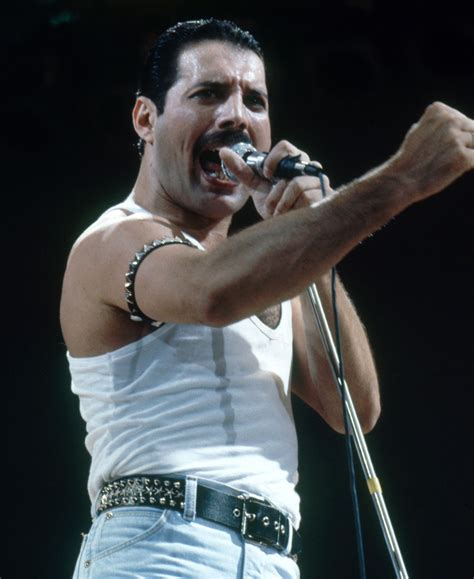 LAS ROSAS   www.lasrosas.com.ar   Freddie Mercury Live Aid ...