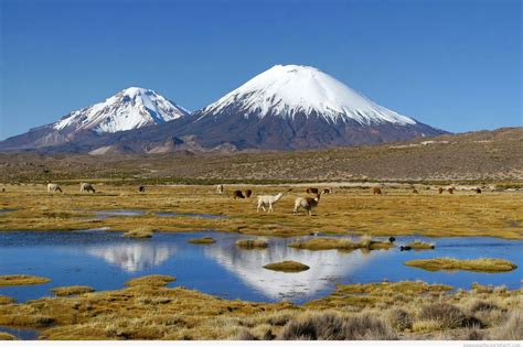 Lauca National Park   Travelnature.nl