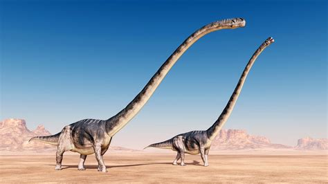 Lavocatisaurus Agrioensis: New 40 Foot Long Dinosaur ...