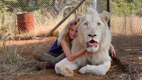 Le film  Mia et le lion blanc  apporte un regard brutal ...