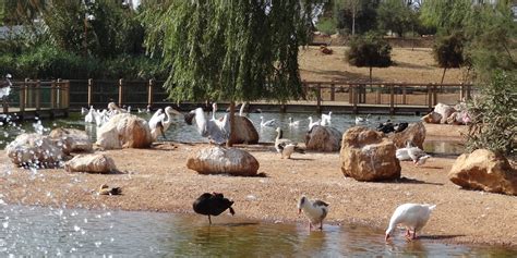 Le jardin zoologique national de Rabat reçoit le ...