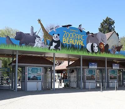 Le plus beau zoo de France | ZooParc de Beauval