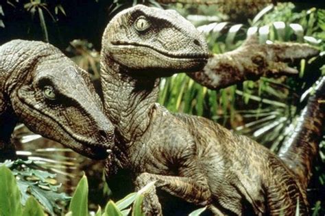 Learn 10 Velociraptor Facts