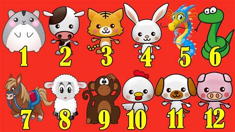 Learn 12 Chinese New Year Animals | 12生肖動物  中英文    YouTube