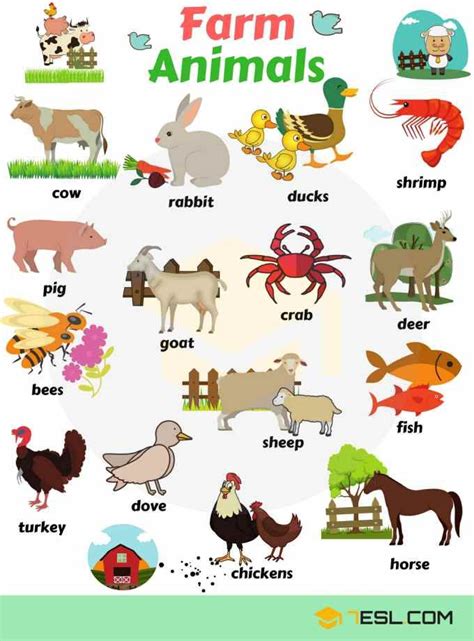 Learn Animal Names in English   ESLBuzz Learning English | Animals name ...