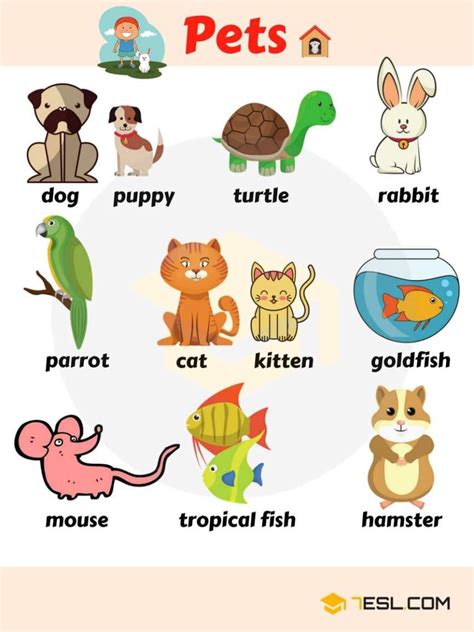 Learn Animal Names in English   ESLBuzz Learning English | English ...