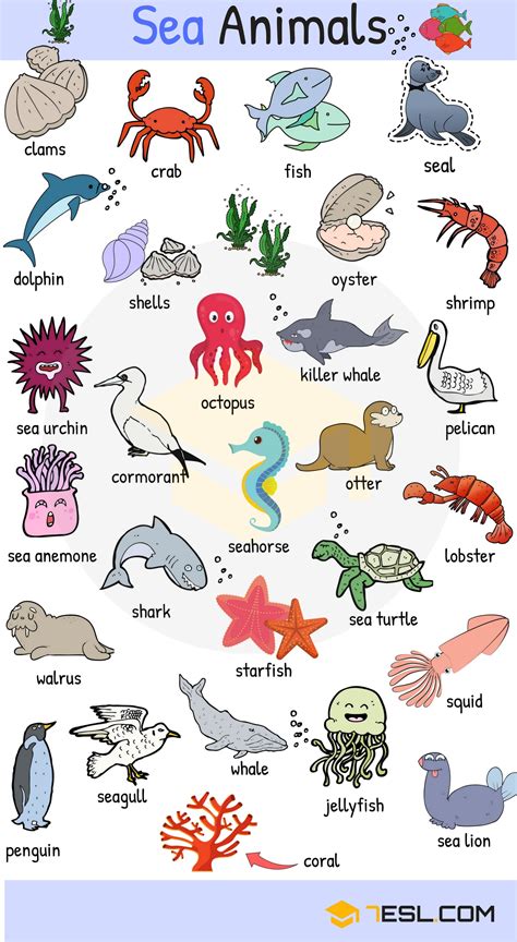 Learn Animals Vocabulary in English   ESLBuzz Learning English