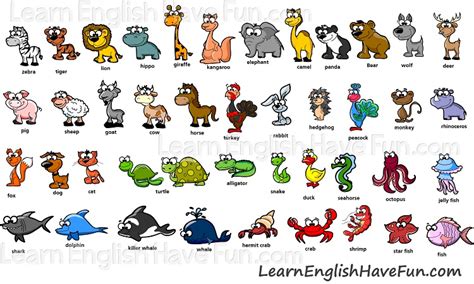 Learn English Animals Vocabulary
