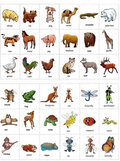 Learn English Vocabulary through Pictures: 100+ Animal ...